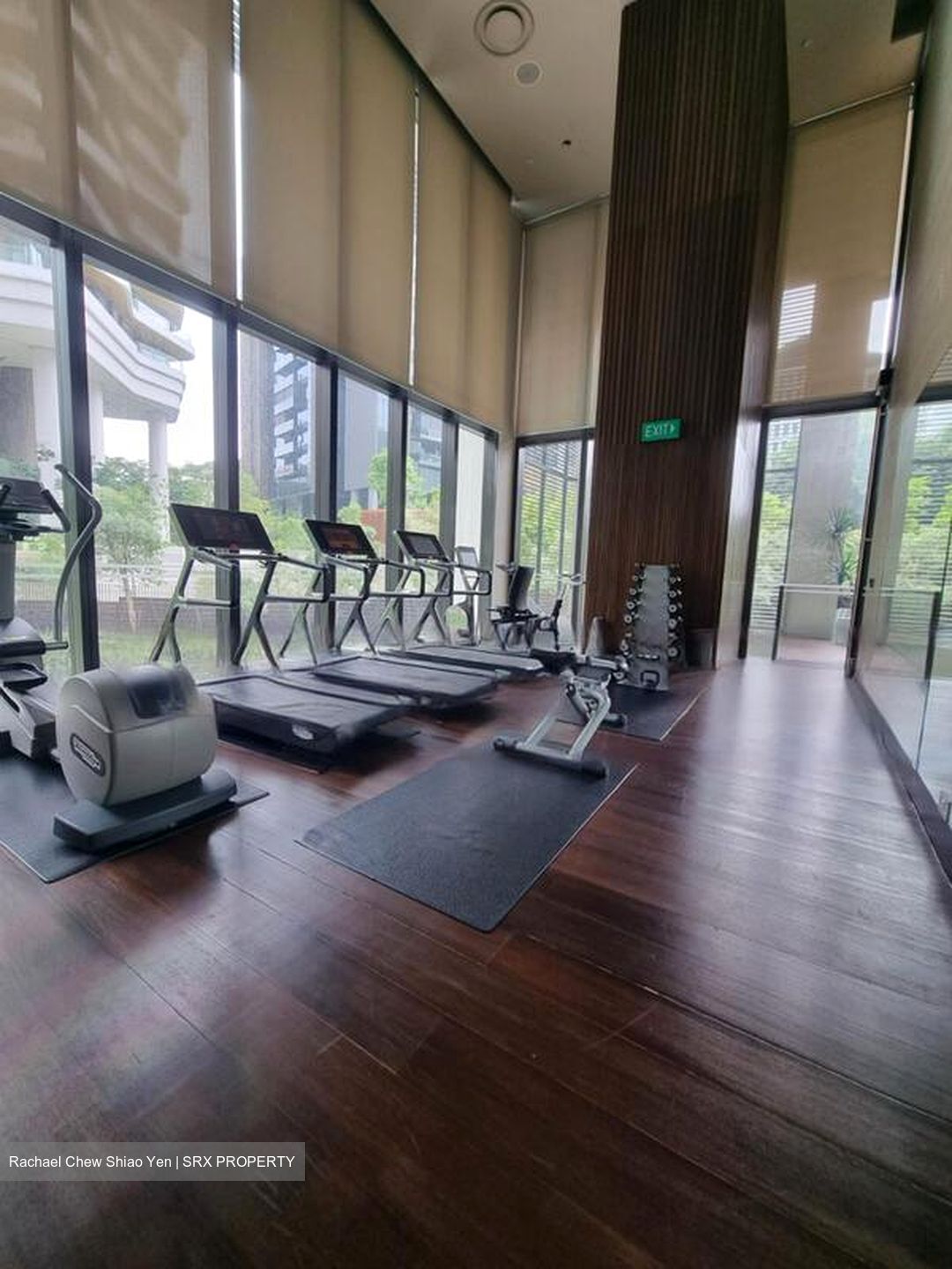 Hana (D10), Condominium #498699061
